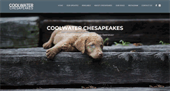 Desktop Screenshot of coolwaterchesapeakes.com